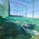 (주)송도골프 이미지