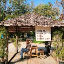 [치앙마이여행] 올드타운 소품샵과 징자이마켓(찡짜이마켓) 비교, 근처 카페 얼리아울스 Early Owls Cafe