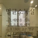 레푸스구미