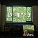수원시청 | 수원시청 인계동 조용하고 넓은 [카페도안] 내돈내산 추천후기✨️