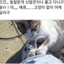 고성동물병원 - 고성군 간성북로7번길 18 | 고성동물병원