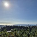 신효동-14 이미지