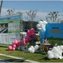 주식회사 반려동물 이미지