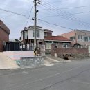 구룡포침구 이미지