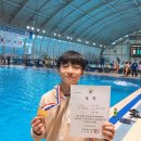 꿈나무수정 이미지