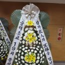 19회 박문영(본인상) 부고 알립니다 이미지