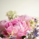 꽃장식 플로리스트 | 행사 꽃 장식 작업 후기