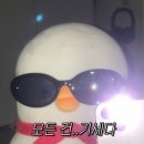 패턴/컬러 스타킹 코디 모음(ft.2000아카이브스 도트 스타킹 리뷰)