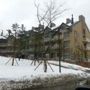 알펜시아콘서트홀 이미지