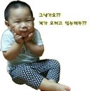 갈치구이 참바다 손질갈치 두토막대란제품