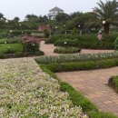 허브농원 이미지