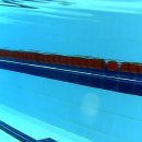 희망찬 키즈 스윔 이미지