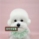 토비네 살롱 이미지