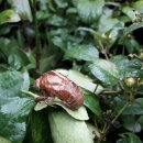 대천천2 이미지