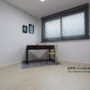 리젤펠리스 이미지