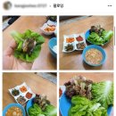 초림농장 | 👨🏻‍🌾아쿠아포닉스채소 가비네농장 | 가비네채소를 활용한 다양한 먹거리들(feat.샐러드,쌈밥,비빔국수...