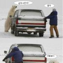 어디야 이미지