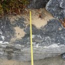 장목초등학교 이미지