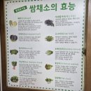 시골생삼겹우렁쌈밥 | [청주]오창 시골생삼겹 우렁쌈밥/백반 집밥/제육볶음 우렁쌈장 된장찌개