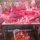 백마축산 이미지