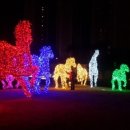 행복을낚는어부 이미지