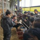 고창부안축산업협동조합 이미지