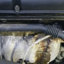 광덕카슐랭 이미지