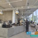 오플로우