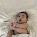 빈체로온수풀빌라 이미지