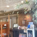 코다리안 이미지