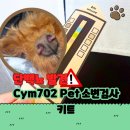 PET119동물병원 | Cym702 Pet 소변검사키트 후기 집에서 60초 반려견 건강체크 해본 경험