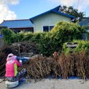 계화중학교 이미지