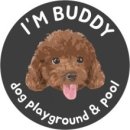 아임버디 이미지