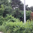 영빈농장 이미지