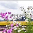 행복열쇠 - 성동구 무수막길 11 | 행복열쇠