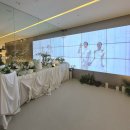 유진상가 개방화장실 | 서울 스몰웨딩 베뉴 강남 트라디노이) 통창 밝은 홀 하우스웨딩 방문 상담 후기