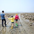 종현어촌마을 이미지