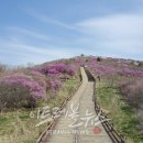 노고단기획