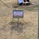 그늘막112 | 뚝섬 한강공원 놀거리 뚝섬유원지 라면 돗자리 자전거