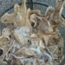 나라3호 이미지