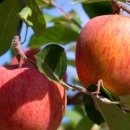 산들강농장 이미지