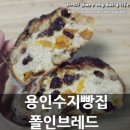 용인 수지 빵집 폴인브레드 (캘리포니아 건포도 천연발효종)