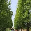 황구지길 이미지