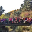 마천종합사회복지관 이미지