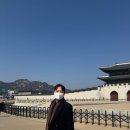 서울 전시회 세종문화회관 백남준 로봇드림 , 미음완보 관람후기