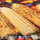 티엘시 이미지