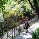 개웅산 유아숲체험원 이미지