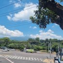 대천동주민센터 이미지