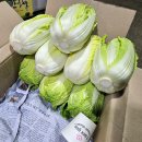 노랑농수산