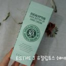 에스티제이 이미지